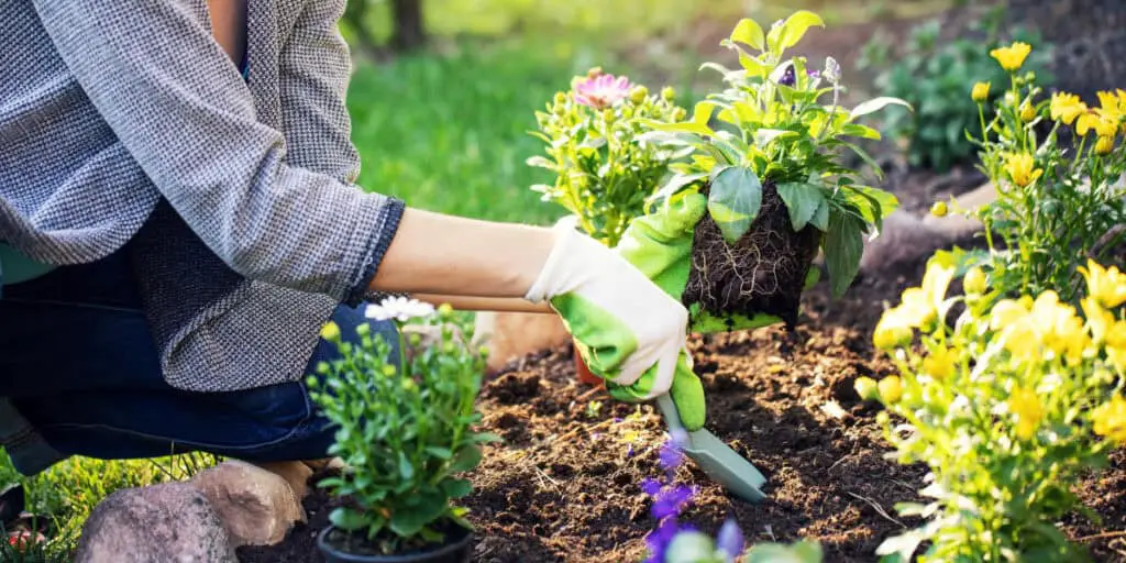 Woman gardening in the sunshine