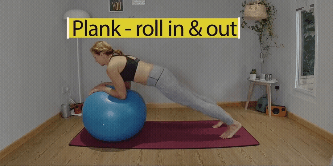 3 Plank roll in and out