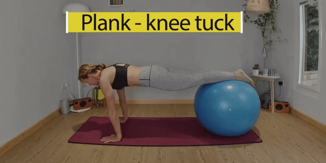 1 Plank Knee Tuclk