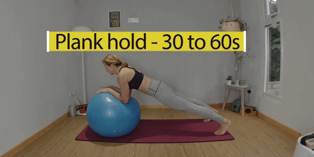 4 Plank Hold